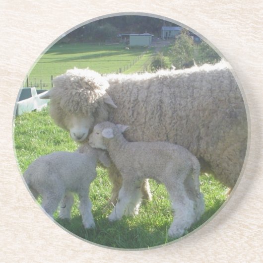 KLEINES LAMM SANDSTEIN UNTERSETZER (Vorne)