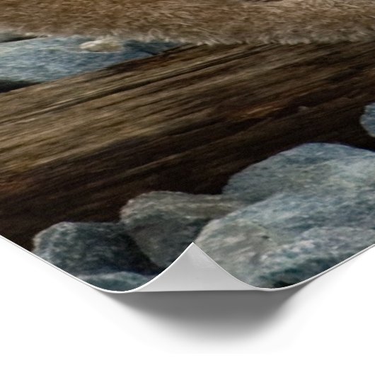 Kleines Mädchen auf Eisenbahnwegen Poster (Ecke)