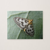 Kleines Magpie Moth Puzzle (Horizontal)