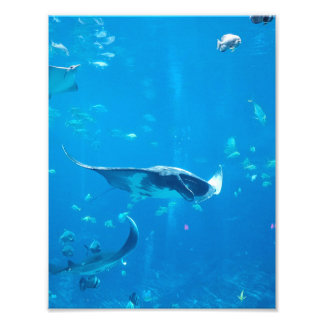 KLEINES/MITTLERES Poster #Y020 auf Fotografie