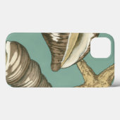 Kleines Muschel-Trio auf aquamarinem Case-Mate iPhone Hülle (Rückseite (Horizontal))