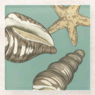 Kleines Muschel-Trio auf aquamarinem Glasuntersetzer