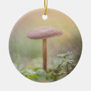Kleines Mushroom Nature Foto Keramik Ornament