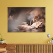 Kleines Mushroom Nature Foto Leinwanddruck (Insitu (Wohnzimmer))