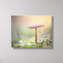 Kleines Mushroom Nature Foto
