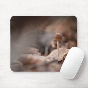 Kleines Mushroom Nature Foto Mousepad
