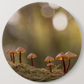 Kleines Mushrooms Nature Foto Button (Vorderseite)