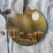 Kleines Mushrooms Nature Foto Button (Beispiel)