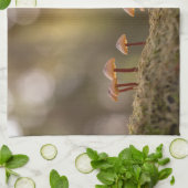 Kleines Mushrooms Nature Foto Geschirrtuch (Gefaltet)