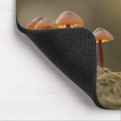 Kleines Mushrooms Nature Foto Mousepad (Ecke)