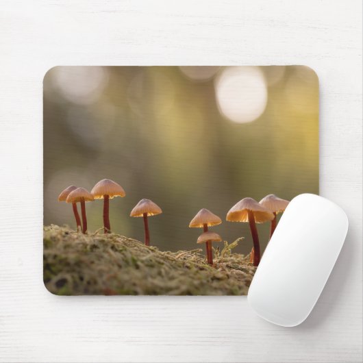 Kleines Mushrooms Nature Foto Mousepad (Mit Mouse)