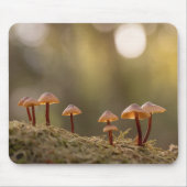 Kleines Mushrooms Nature Foto Mousepad (Vorne)