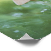 Kleines Mushrooms Nature Foto Poster (Ecke)