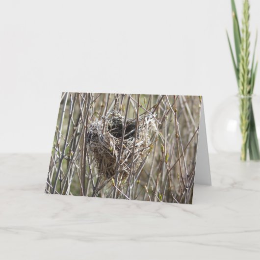 Kleines Nest Karte (Vorderseite)