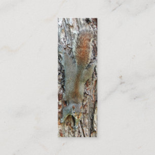 Kleines Niedliches Eichhörnchen Mini Visitenkarte