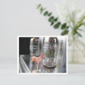 Kleines Pferd im Vintagen McIntosh Postkarte (Stehend Vorderseite)