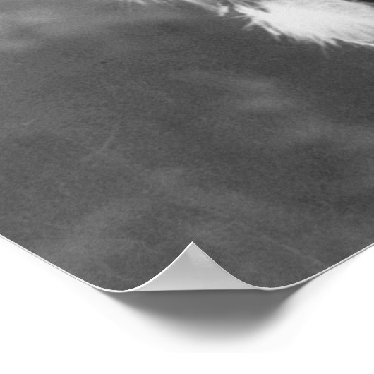 Kleines Pferd, Oglala Sioux, 90er Poster (Ecke)