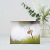 Kleines Pilz-Natur-Foto Postkarte (Stehend Vorderseite)