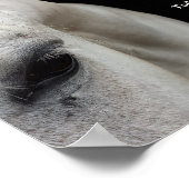 Kleines Poster mit weißem Pferd und Zitat (Ecke)