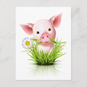 Kleines rosa Grasschwein Postkarte