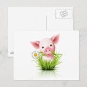 Kleines rosa Grasschwein Postkarte (Vorne/Hinten)