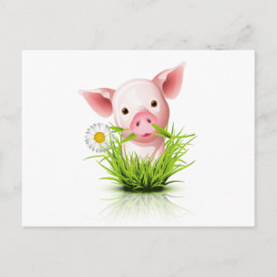 Kleines rosa Grasschwein Postkarte