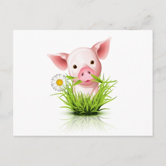 Kleines rosa Grasschwein Postkarte (Vorderseite)