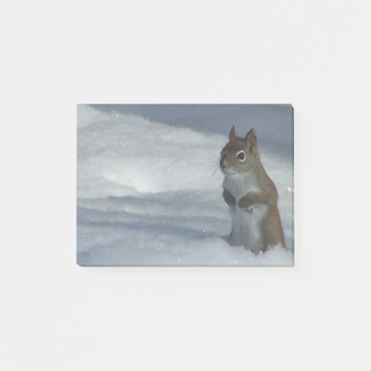 Kleines Rotes Eichhörnchen Post-it Klebezettel (Vorderseite)