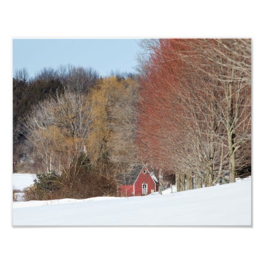 Kleines Rotes Haus Fotodruck (Vorne)