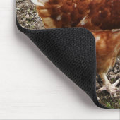 Kleines rotes Huhn - freie Strecken-Ei-Schicht Mousepad (Ecke)