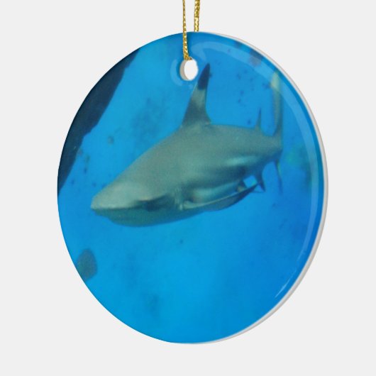 Kleines Schwarzes gespitzter Haifisch Keramikornament (Links)