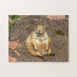 Kleines Schwarzschwanz-Prairie-Dog-Jigsaw-Puzzle Puzzle