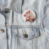 Kleines Schwein Button (Beispiel)