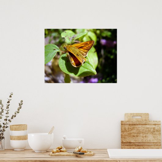 Kleines Skipper Butterfly Poster (Küche)