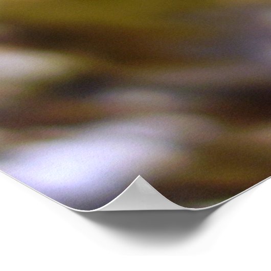 Kleines Skipper Butterfly Poster (Ecke)