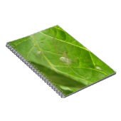 Kleines Spider Notebook Notizblock (Rechte Seite)