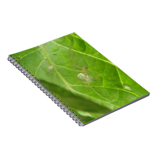 Kleines Spider Notebook Notizblock (Rechte Seite)