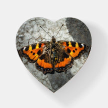 Kleines Tortoiseshell Schmetterlingsherz
