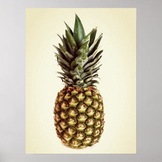 Kleines Vintages Ananas-Foto-Plakat Poster (Vorne)