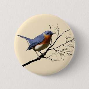 Kleines Vogel-Blau, Button
