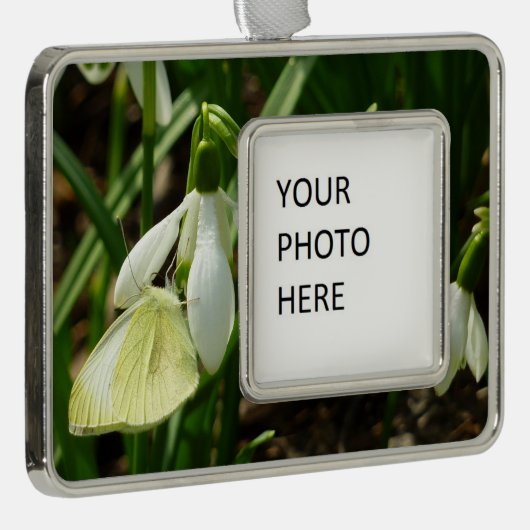 Kleines Weiß für Schneefallen Rahmen-Ornament Silber (Rechts)