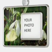 Kleines Weiß für Schneefallen Rahmen-Ornament Silber (Links)