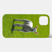 Kleines weißes Lamm auf grünem Glas Case-Mate iPhone Hülle (Rückseite (Horizontal))
