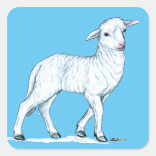 Kleines weißes Lamm Quadratischer Aufkleber
