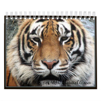 Kleines wildes Tier stellt Kalender 2012 gegenüber