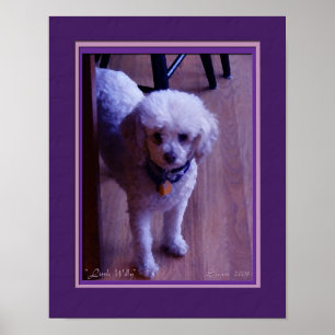 Kleines Willy-Plakat Poster