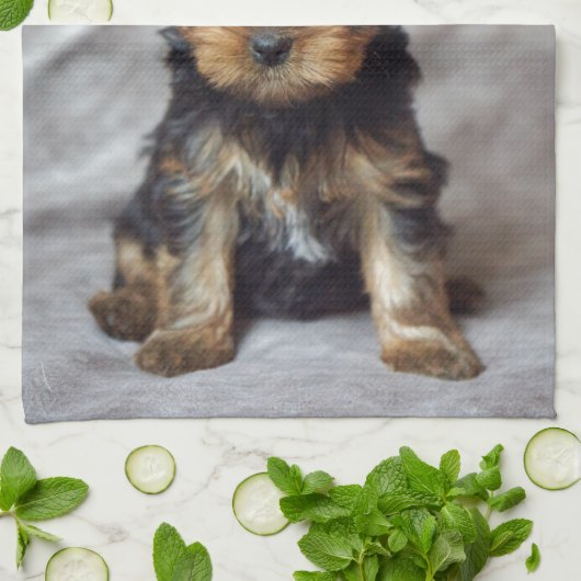 Kleines yorkie geschirrtuch (Gefaltet)