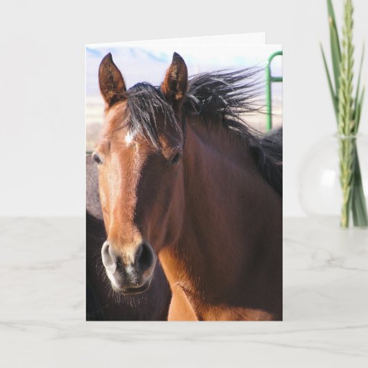 Kleinigkeit Karte (Vorderseite)