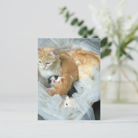 Kleinigkeit Postkarte (Stehend Vorderseite)