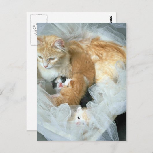 Kleinigkeit Postkarte (Vorne/Hinten)